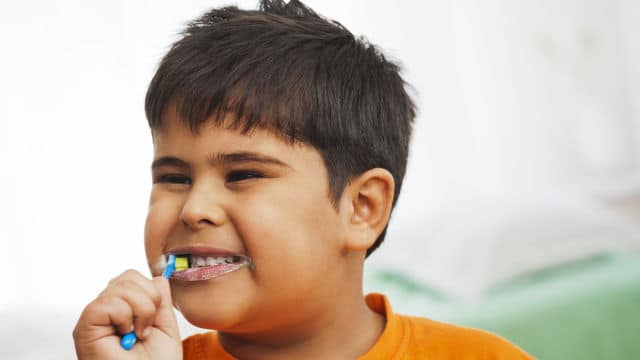 Natürliche Inhaltsstoffe in fluoridfreier Zahnpasta